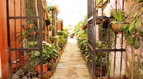 Отель Villa Bonita Les Terrasses  Куэрнавака